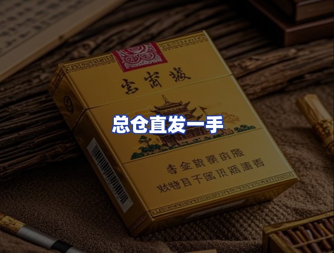 专业团队